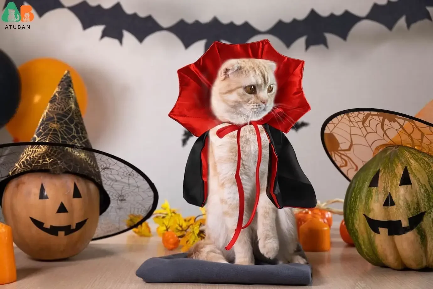 Halloween Cat Vampire Cloak Costume Halloween Adjustable Pet Cape Costume Clothes Pet Accessories Outfit Decor Cowl pet clothes