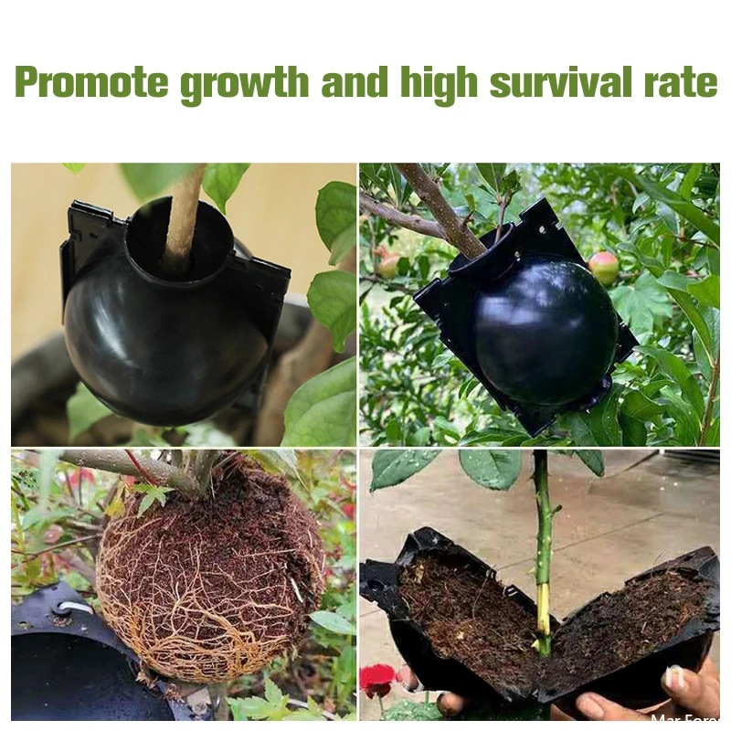 Plant Rooting Ball 5/10Pcs High Pressure Graft Breeding Case Nursery Box Garden Propagation Pot Cup