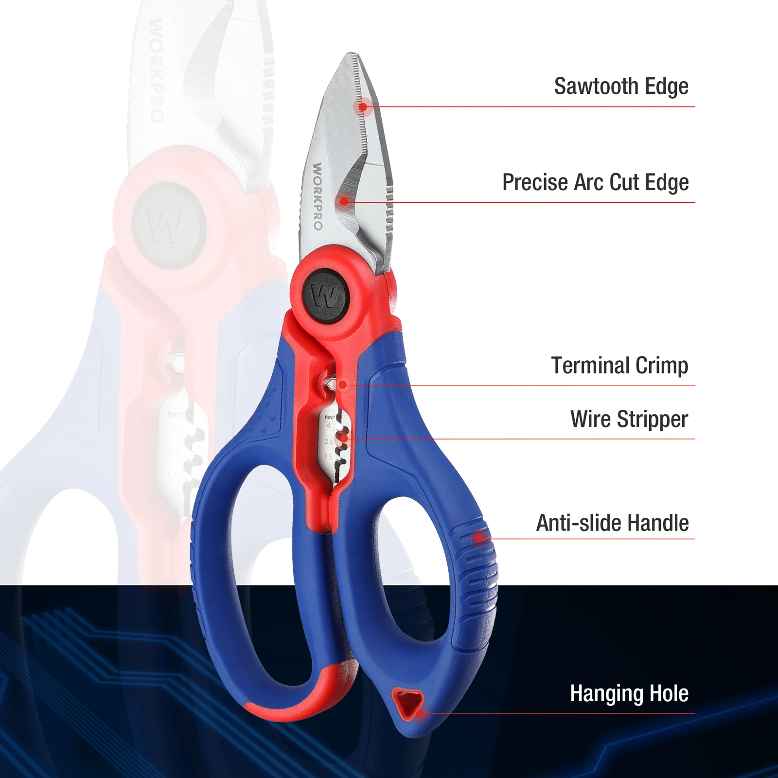 dsc-products