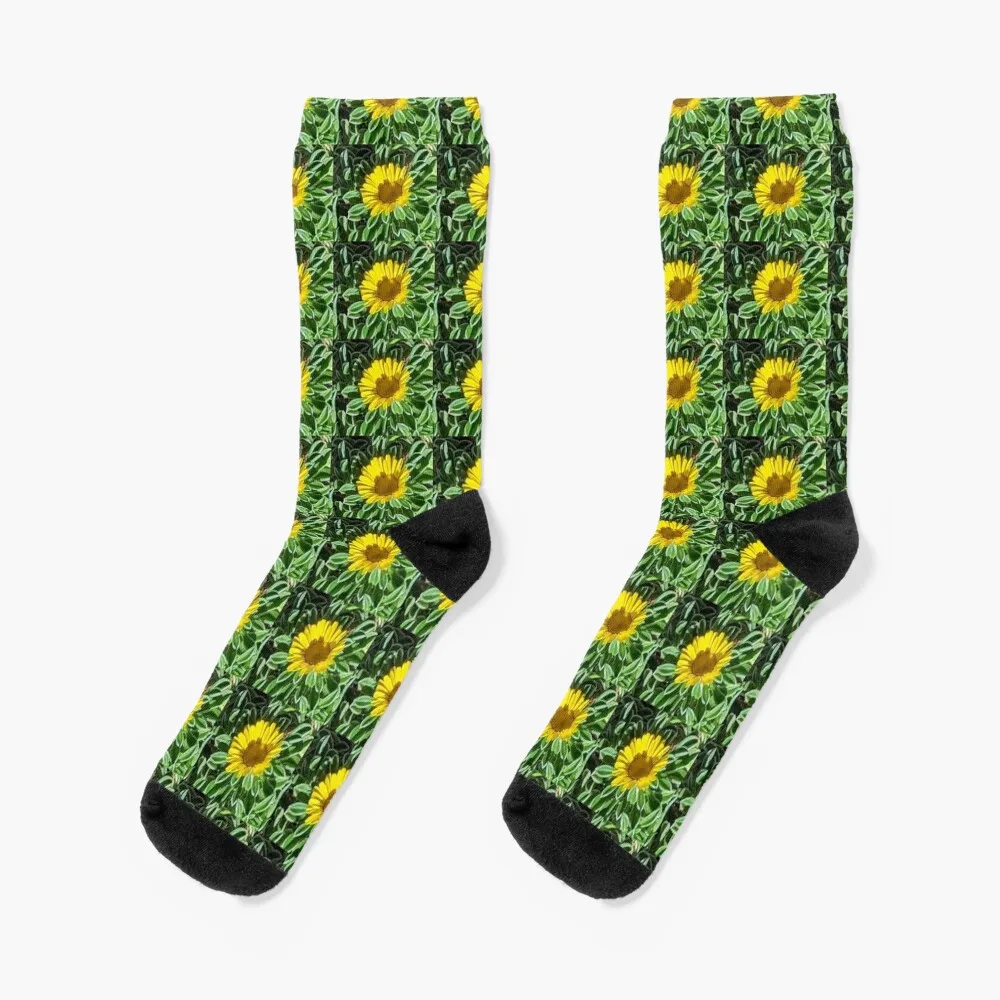 

Floral Delights Socks hip hop christmas gift compression Woman Socks Men's
