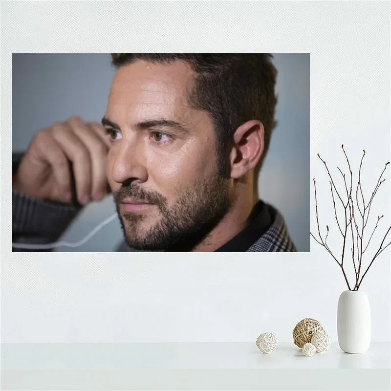 Custom High Quality David Bisbal Canvas Painting Wall Silk Poster Cloth Print DIY Fabric Poster