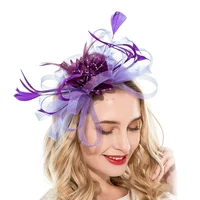 Banquet Feather Hair Pins Headdress Wedding Party Bridal Tiara Women Fascinators Ladies Accessory Wedding Women HeadBand