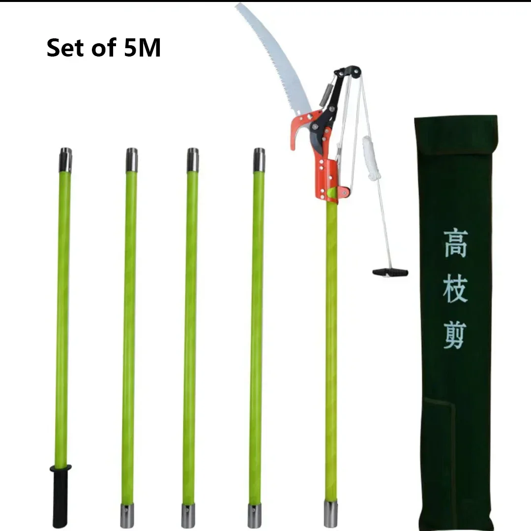 5M