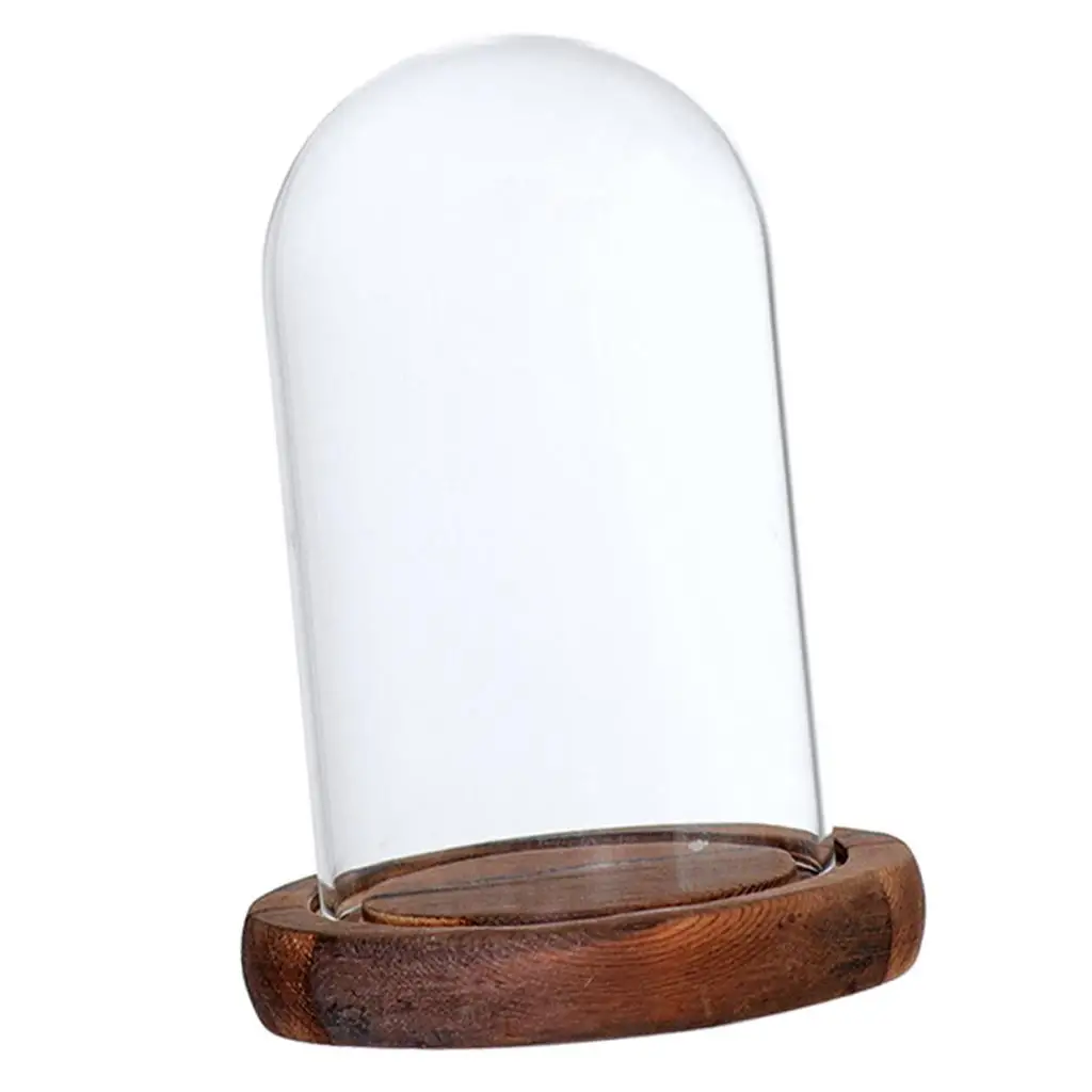 Elegant Glass Display Dome with Base for DIY Home Decor and Pinterest-Inspired Room Ideas