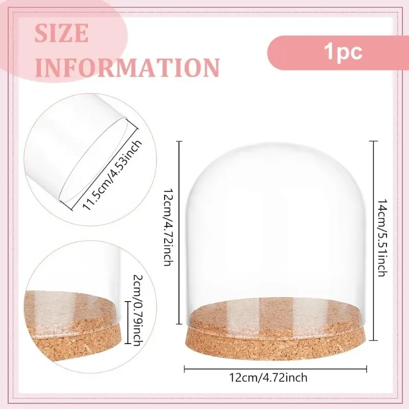 1 pc Glass Display Dome Cloche Glass Bell Jar Display Dome Decorative Jars with Cork Base for Flower Plants Specimens