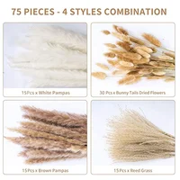 75 Pack Dried Reeds Natural Plants Small Pampas