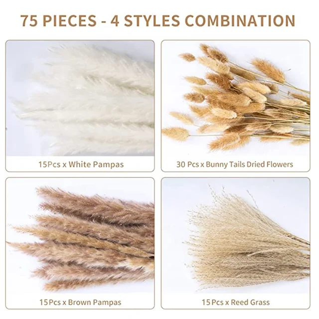 75 Pack Dried Reeds Natural Plants Small Pampas