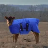 Calf Vest Winter Clothing Jacket with Hat for Reducing Illness Goat Ranch Linoleum Cold Weather Windproof 5