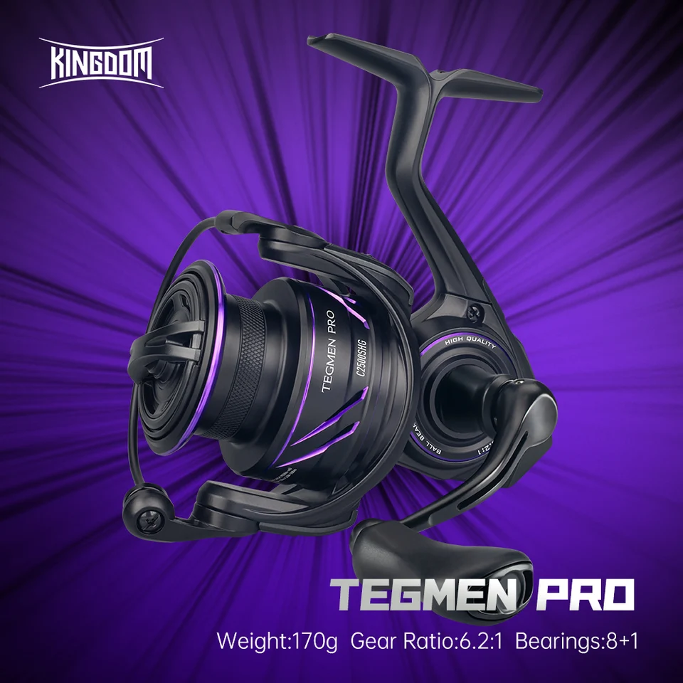 リール TEGMEN Pro 2500SHG KINGDOM Saaab22543dd849a7bf7f795604275