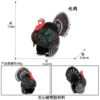 Simulation Farm Poultry Animal -Turkey, Duck, Goose, Rooster and Hen Series Children's Toy Set 5