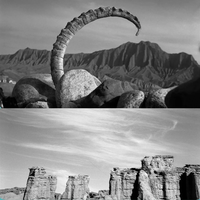 Shanghai Film GP3 100 620 Black & White Shanghai GP3 ISO 100 B/W Freshest New 1-10 ROLL For All 620 Camera