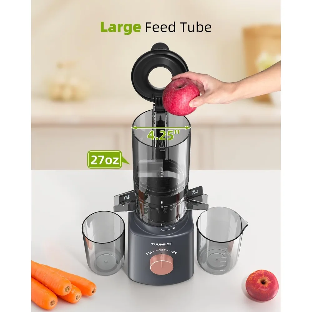 Juicer Machines,Cold Press Juicer with 4.25'' Large Feed Chute Fit Whole Vegetable And Fruit, Masticating Juicer Easy To Clean 2