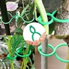 50/100/500Pcs Plastic Garden Vine Strapping Clips Tie Plant Bundled Buckle Ring Garden Tomato Grapevine Hook Plants Support Tool 2