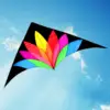 Large Delta Beach Kite Easy to Fly Colorful Huge Kite for Adults Large Giant Kites for Backyard Trip Yard Holiday Outdoor Game 2