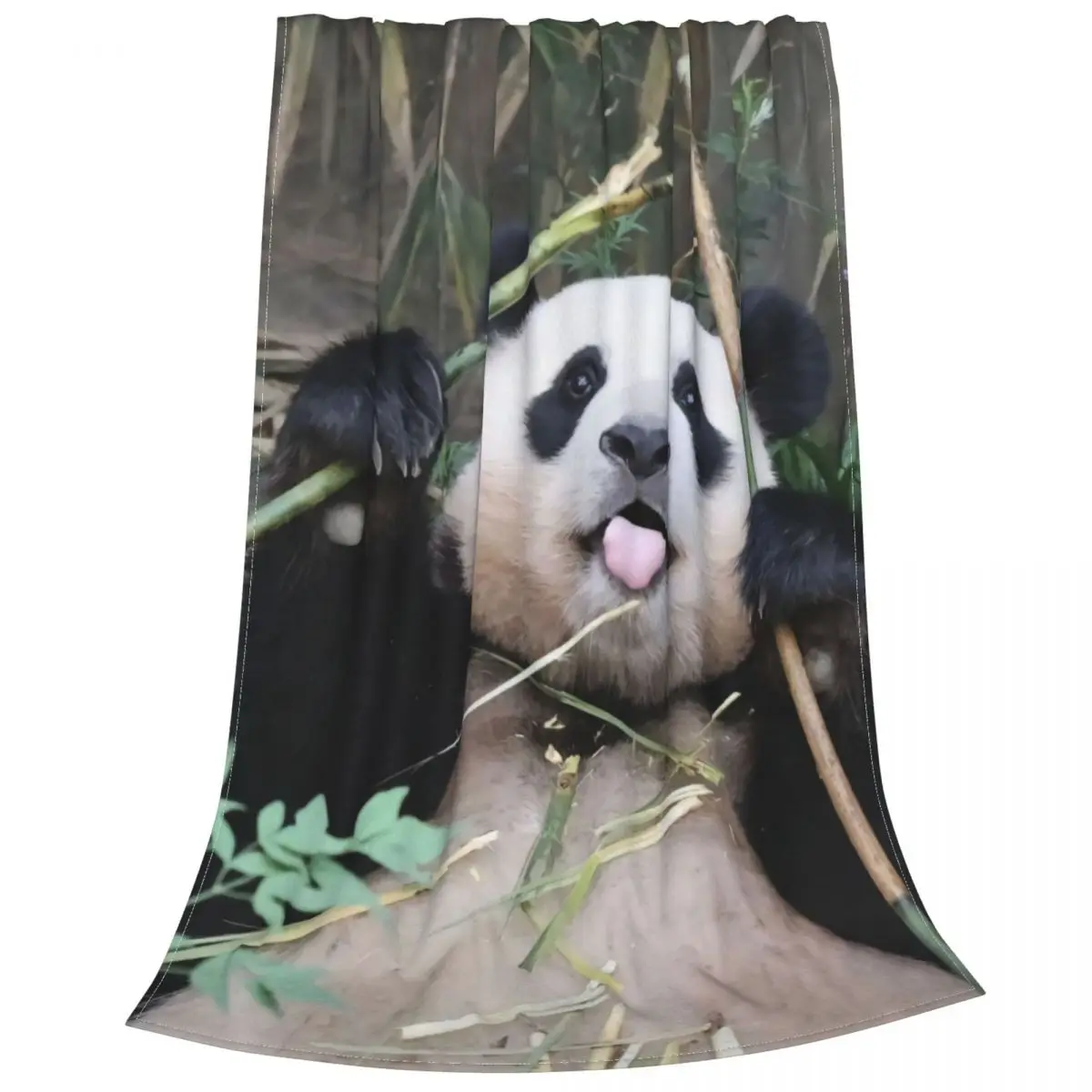 FuBao �Ҵ� Fu Bao ���, �ܿ� ������ �θ���, ħ�� ���Ŀ� ��� ������