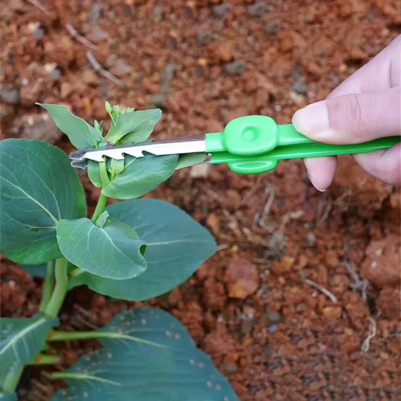 Gardening Tweezer Multifunction Curved Serrated Precision Tweezers Bonsai Succulents Plants Pruning Weeding Tweezer Garden Tools 4