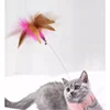 Cat Collar Interactive Toy Feather Teasing Cat Stick with Bell Cats Collar Toys Kitten Training Playing Teaser Wand Pet Supplies