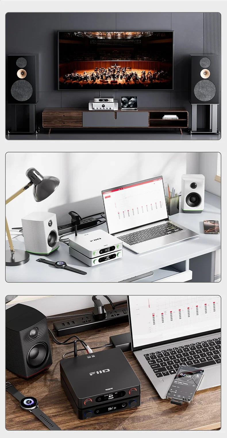 FiiO BR15 R2R Accessories