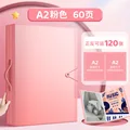 A2 60 page pink