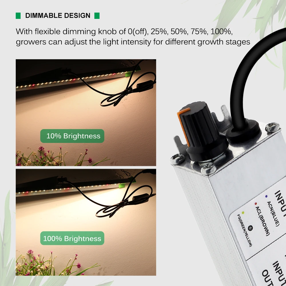 dsc-products