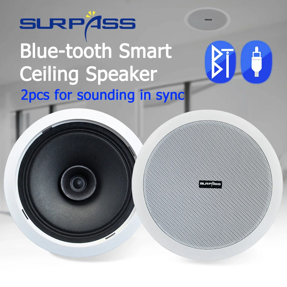 Dustproof Smart Bt In Ceiling Active 