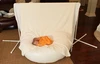 Newborn Photography Bean Bag Studio Size Professional Ottoman Poser  Baby Photo Prop & Pose Pillow 4