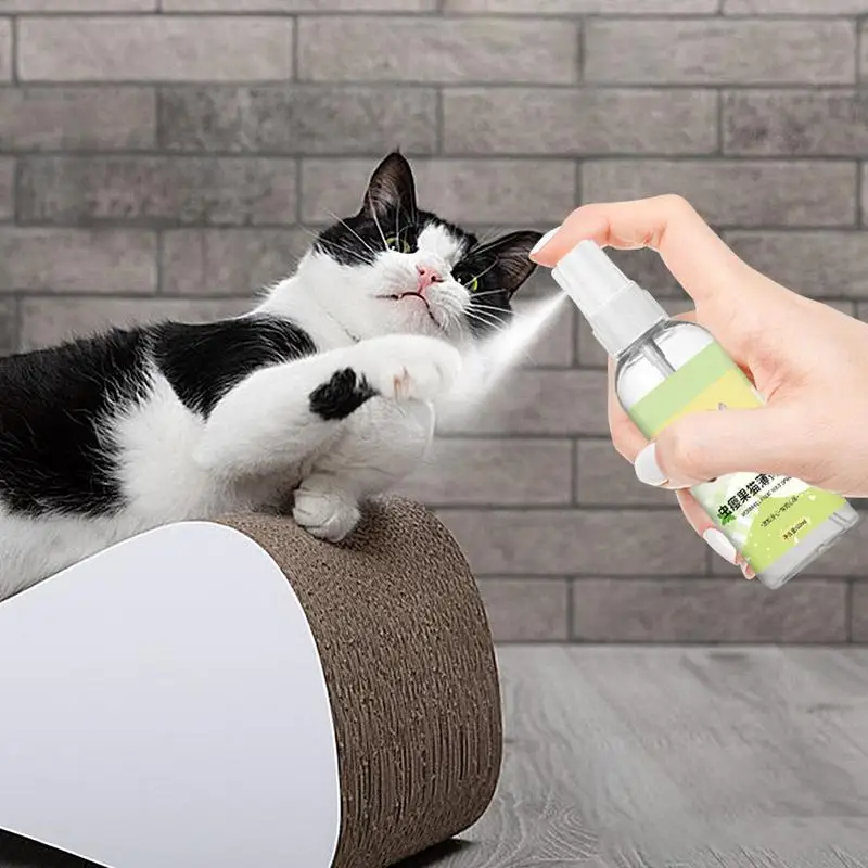 60ml Natural Cat Catnip Spray Attractive cat self-pleasure toy inducer Safe Happy Water Spray To Relieve Stress Pet Product