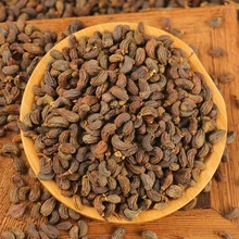 

Glossy Privet Fruit (Nv Zhen Zi) Fructus Ligustri Lucidi Nv Zhen Zi Powder