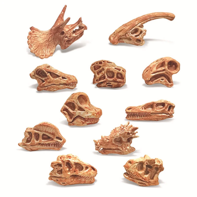 Dinosaur Toy Simulation Animal Skull Plastic Fossil Teaching Dinosaurs Skeleton Model for Collectors Craft Gifts Home Decor Toys 3