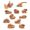 Dinosaur Toy Simulation Animal Skull Plastic Fossil Teaching Dinosaurs Skeleton Model for Collectors Craft Gifts Home Decor Toys 3