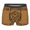 Roll For Initiative Men Boxer Briefs DnD Game Highly Breathable Underpants High Quality Print Shorts Gift Idea 1