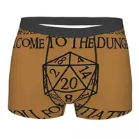 Roll For Initiative Men Boxer Briefs DnD Game Highly Breathable Underpants High Quality Print Shorts Gift Idea 1