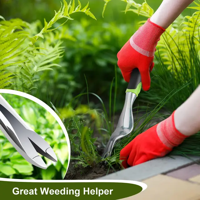 Dandelion Weeder Puller Tool with Soft Handle, Polished Stainless Steel Garden Weed Remover Tool, Two-Pronged Fork Weeder Tool f 5