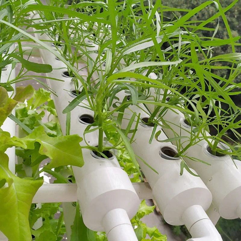 10Pcs Hydroponic Colonization Net Basket Plant Nursery Cup Pot Aeroponic Vegetable Planting Grow Soilless Culture Sponge Tray nursery pots,plant propagation pots,hydroponic plant pots