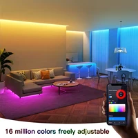 Smart Zigbee 3.0 RGB Neon LED Strip Light 12V Dimmable Room Wall Backlight Decor Works with Tuya Alexa Google APP Voice Control - Image 2