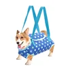 Breathable Pet Carrier Bag for Small Dogs Cats Cozy Puppy Outdoor Travel Handbag Chihuahua Pug Carrier Suit for Pet Accessories 3