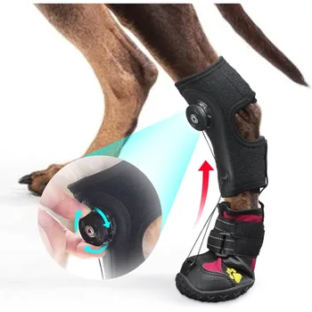Dog Drop-Foot Support Brace 1