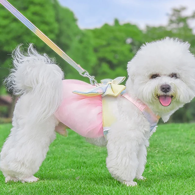 Bow Dog Collar Skirt