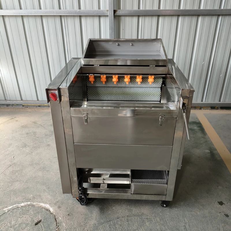 2025New Commercial Vegetable Fruit Washing Peeling with Brusher Cleaning Potato Machine Stainless Steel 304 3