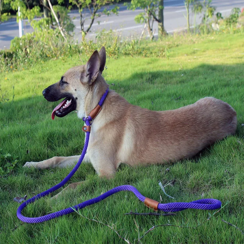 Dog Leash Training Slip Lead Dog Leash-6 FT Strong Rope Leash for No Pulling Pet Training-Ideal for Small Medium and Large