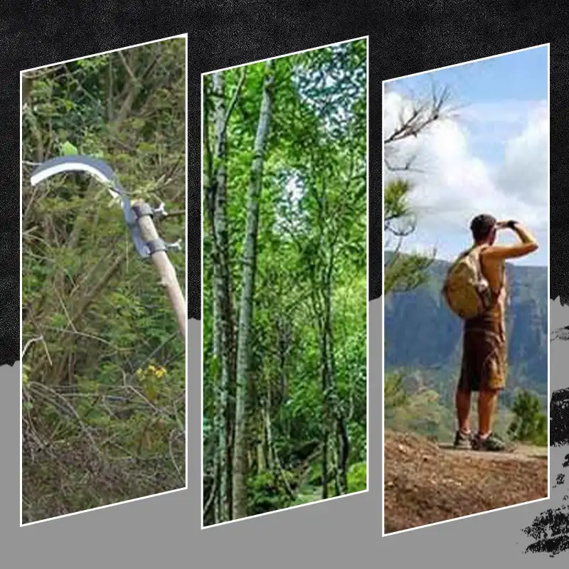 Slide image 1103ddc329ea4887a3c64cd993fd378f