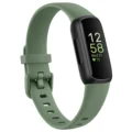 Avocado green