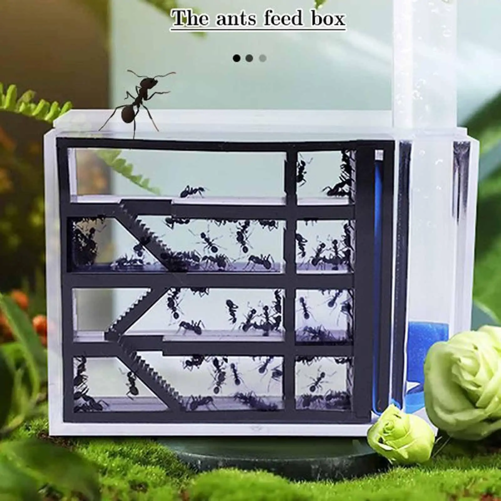 ANT Farm DIY Supplies Funny Toys Study ANT Habitat ANT Nest for Childrens Day Gift Decoration Tabletop Science Observation ANT Farm DIY Supplies Funny Toys Study ANT Habitat ANT Nest for Childrens Day Gift Decoration Tabletop Science Observation