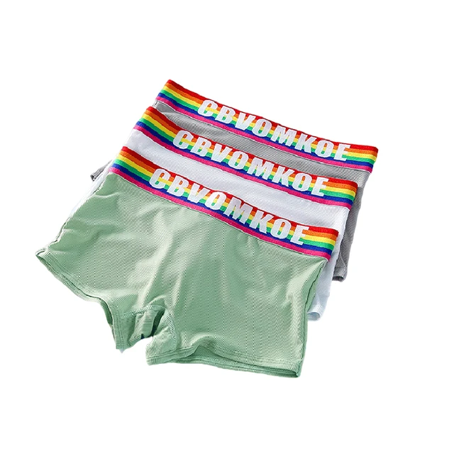 Silk Briefs Knickers Lingerie Panties, Lesbian Tomboy Boxer