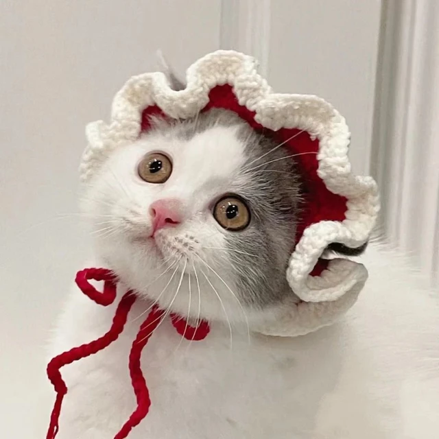 Cute Cat Hat Funny Pets Party Cosplay Headwear Delicate Hemming Pendant Decor Elasticity Knitted Hat Pet Accessories 3