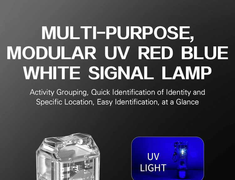 Mini Torcia LED Ricaricabile Multifunzione, 6 Modalità Di Luce (Bianca, UV, Rossa, Blu), Con Magnete E Portachiavi, Piccola E Potente, Bianca - 3