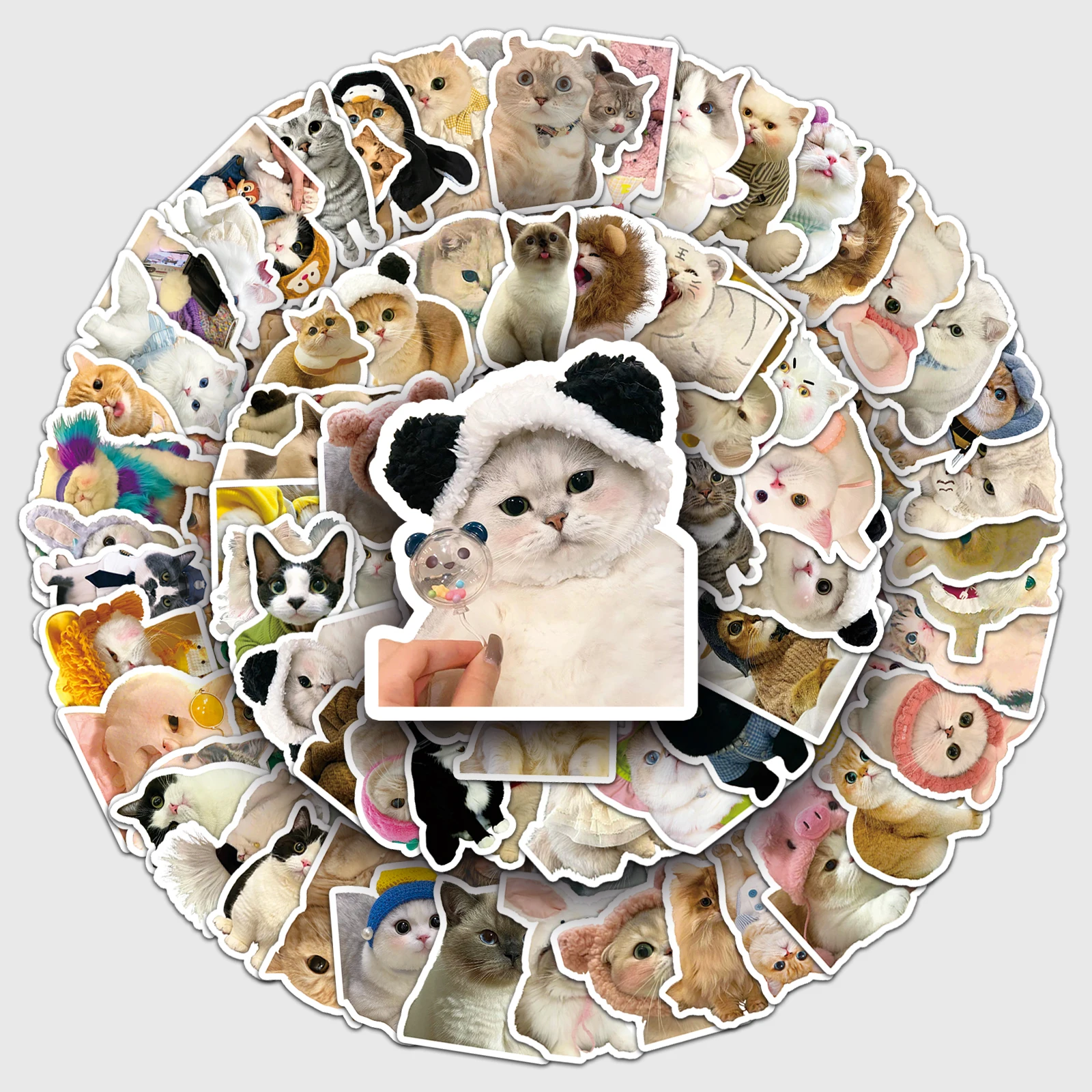 Sticker Cat. Random Random 10/100 Piece Funny Cat DIY Creative Waterproof Sticker For ...