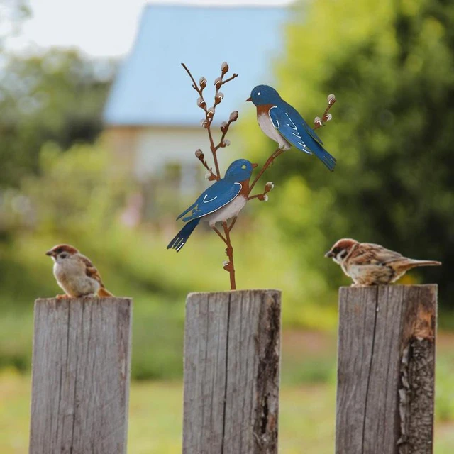 Oiseaux rouillés avec vis à Visser dans Le Bois,4Oiseaux Métal