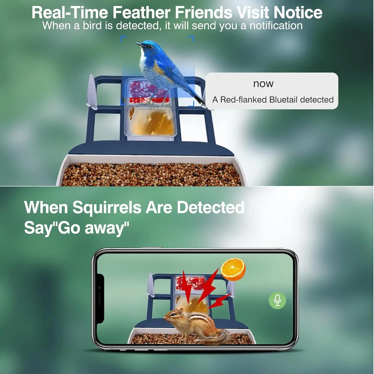 AI Smart Bird Feeder Camera 3