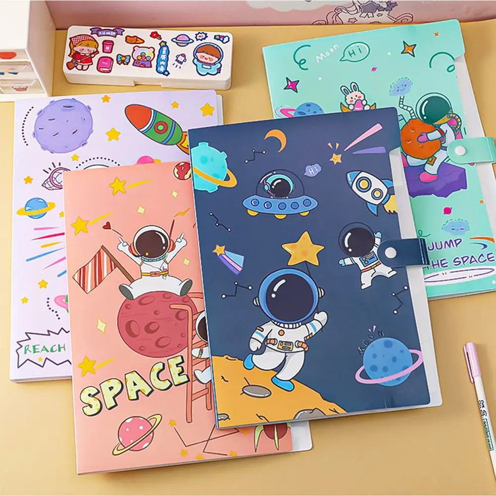 Рисунок 5 - Папка-органайзер А4 для документов